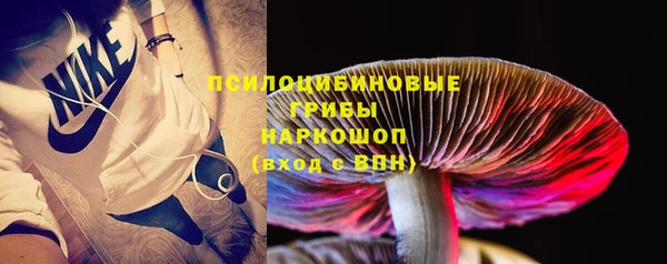 ешки Болотное
