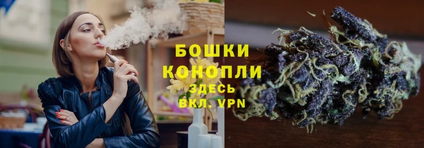 крисы Осташков