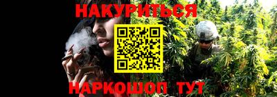 спиды Абакан