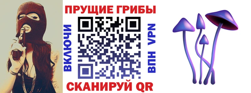 Галлюциногенные грибы Magic Shrooms  kraken как войти  Анжеро-Судженск  наркота 
