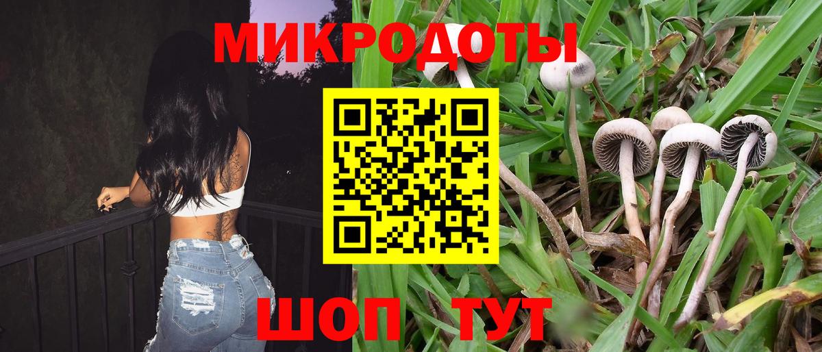 купить наркоту  Вход с VPN  Анжеро-Судженск  Псилоцибиновые грибы Magic Shrooms  Галлюциногенные грибы GOLDEN TEACHER 